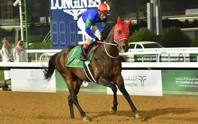 パンサラッサの引退式が1月8日の中山競馬場に延期 馬の体調を考慮したため
