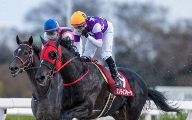 【兵庫ゴールドトロフィー】M.デムーロ「夏からだいぶ成長」サンライズホークが交流重賞を連勝