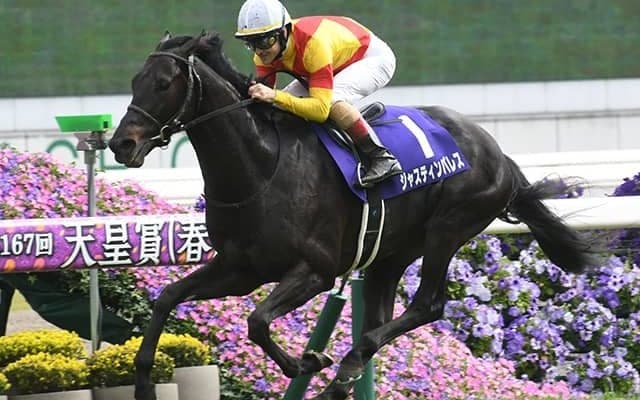 天皇賞(秋)は上がり最速2着 29万票の想い背に有馬記念でGI・2勝目へ