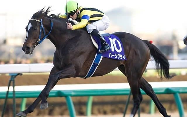有馬記念×阪神優勝＝歴史的名馬の誕生!? 該当年の覇者にはそうそうたる名前