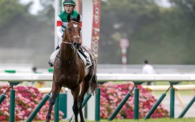 初の日本ダービー馬3世代対決が実現！ データでわかる有馬記念好走の1頭とは