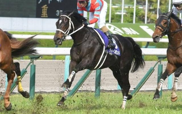 【有馬記念予想】伏兵を狙うのも決して無理筋ではない？ AIが推奨した注目した馬とは