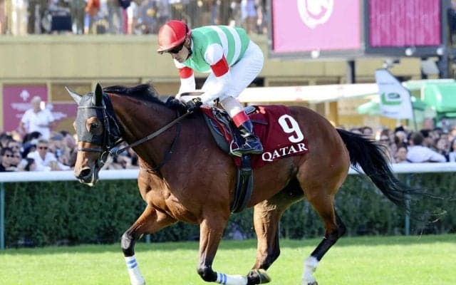 有馬記念、過去データから浮上する穴馬は「牝馬」「３歳牡馬」「ＧＩ３勝以上の引退表明馬」