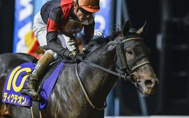 【名古屋グランプリ注目馬】個性派揃った一戦 ディクテオン重賞連勝なるか