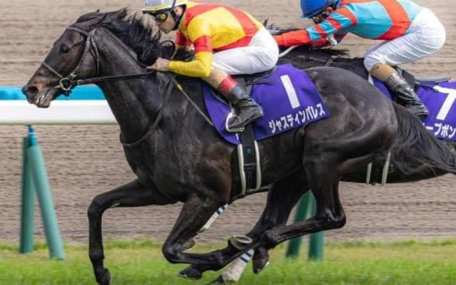 有馬記念で3度目の兄弟対決 過去2戦は弟に軍配だが今回は？
