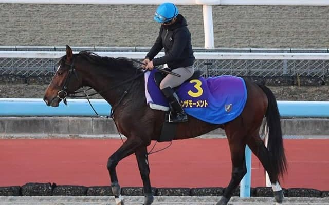 インザモーメント、ホープフルS追い切り速報/栗東トレセンニュース