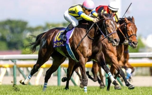 【有馬記念出走馬・騎手確定】スターズオンアース＆C.ルメール騎手、タスティエーラ＆R.ムーア騎手など16頭