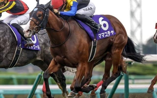 【阪神C出走馬・騎手確定】ママコチャ＆川田将雅騎手、グレナディアガーズ＆R.ムーア騎手など17頭