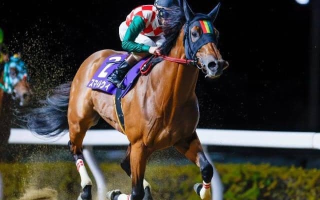 【浦和・ゴールドC結果】スマイルウィが連覇で重賞6勝目！