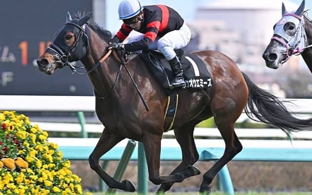 【有馬記念枠順】ホウオウエミーズは2枠3番に決定 田辺騎手「前走は別馬かと思うくらい成長を感じた」
