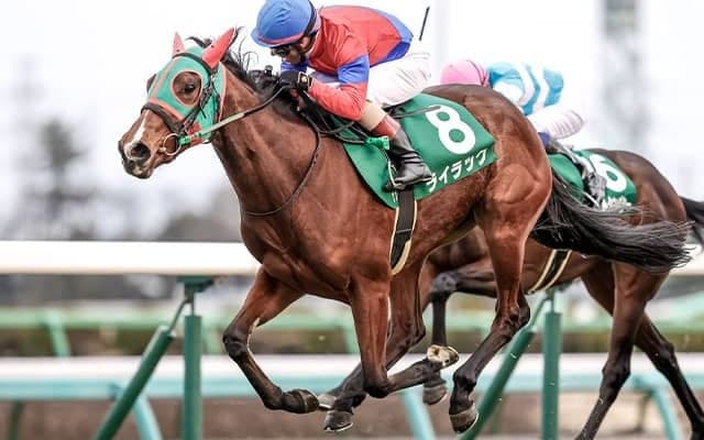 【有馬記念枠順】ライラックは4枠8番に決定 戸崎騎手「偶数枠でいいと思う」