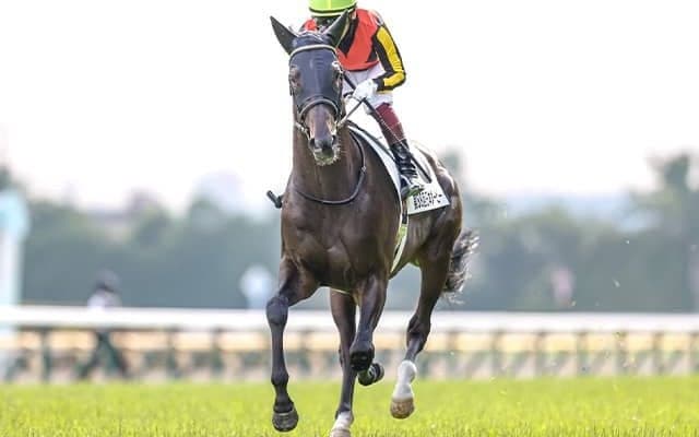 【有馬記念枠順】シャフリヤールは1枠2番に決定 松山騎手「素晴らしい枠だと思います」
