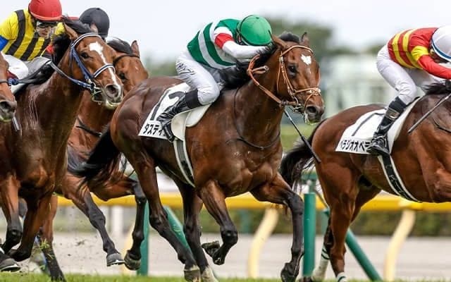 【有馬記念・調教後馬体重】スターズオンアースは496kg、タスティエーラは488kg