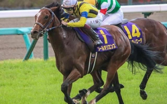 今年の皐月賞馬と初タッグ 川田将雅騎手が2週連続GI制覇狙う