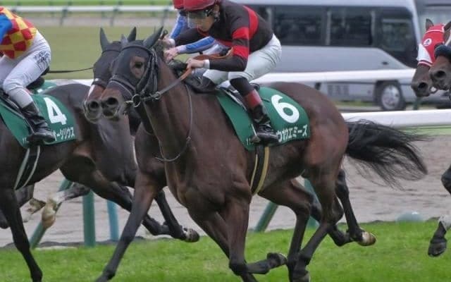 福島記念覇者が1年1カ月ぶりのGI参戦 オーナーに初のビッグタイトル届けるか