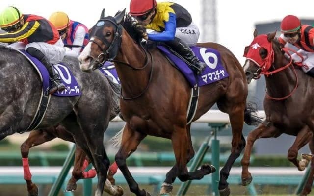 【阪神C枠順確定】ママコチャは7枠13番、アグリは7枠14番