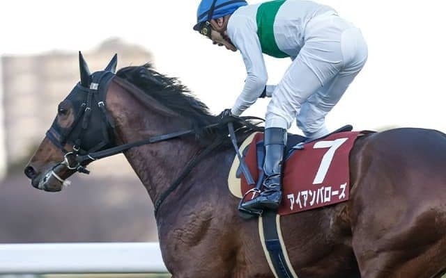 究極のスタミナ自慢が有馬記念参戦 人馬で掴んだタイトル胸に宿敵へ最後のリベンジだ