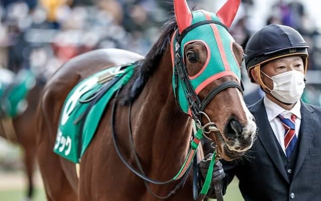 有馬記念16頭の“香港馬名”を紹介『北島名花』や『鍵琴高奏』はどの馬？