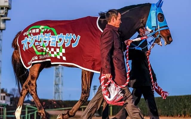 オジュウチョウサン引退から1年...走破距離135km超えなど伝説を振り返る