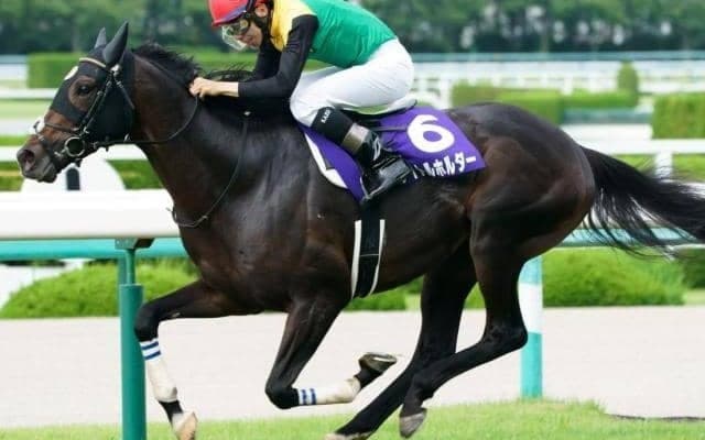 “仁川の帝王”ラストランへ 有馬記念Vで有終の美を