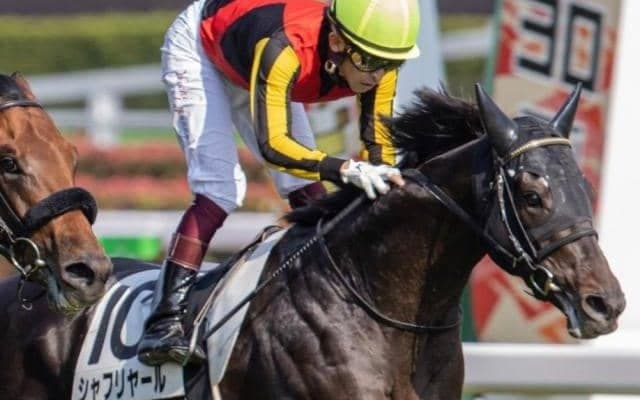 有馬記念にディープ産駒の豪華3頭 サトノダイヤモンド以来7年ぶりの制覇なるか