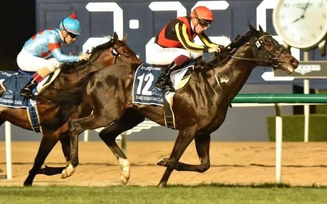 後輩ダービー馬を破るか 新コンビとともに有馬記念で王座奪還期す