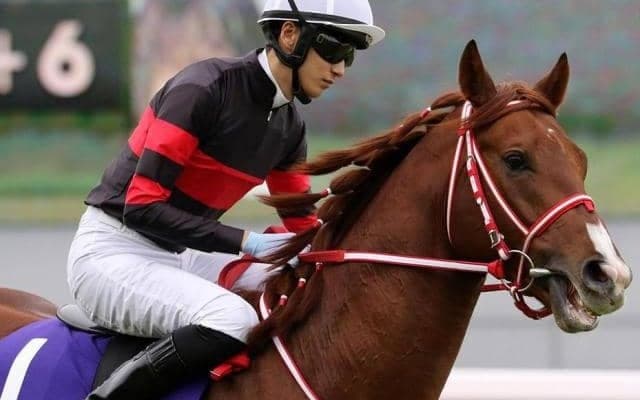 阪神芝1400mはリピーターを狙え！ 舞台巧者が阪神Cで波乱呼ぶ