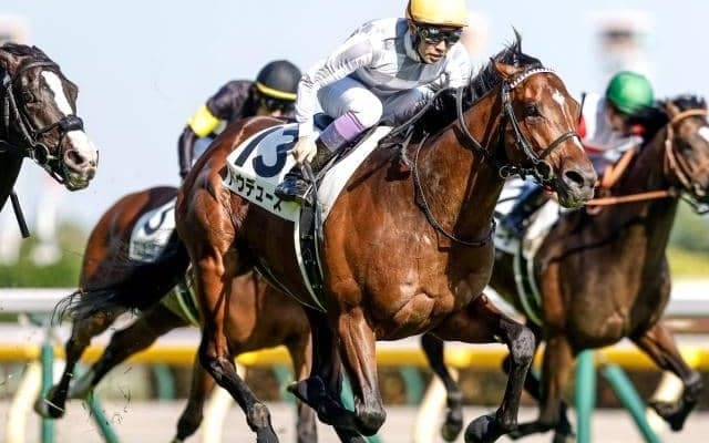 【有馬記念予想】中山替わりで大きな上積み！ 覚悟の騎乗に一発を見込む