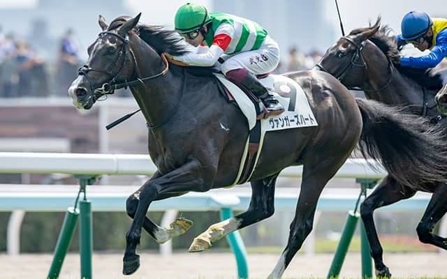エフフォーリアの半弟が去勢明け初戦 再出発Vなるか 