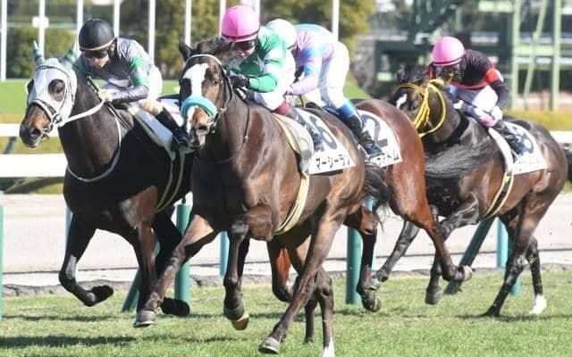 【阪神6R新馬戦結果】レッドファルクス産駒マーシーランが抜け出しV