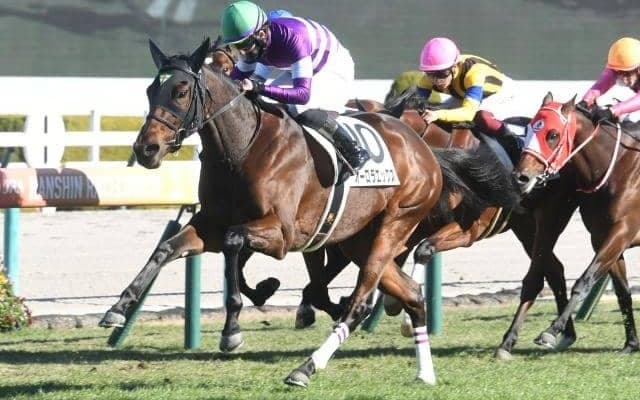【阪神5R新馬戦結果】サトノダイヤモンド産駒オーロラエックスが差し切りV