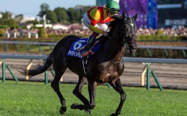 【AI予想・有馬記念】鬼門の8枠に有力馬2頭が入り激戦必至のグランプリ！ 本命は飛躍の一年を過ごした実力馬
