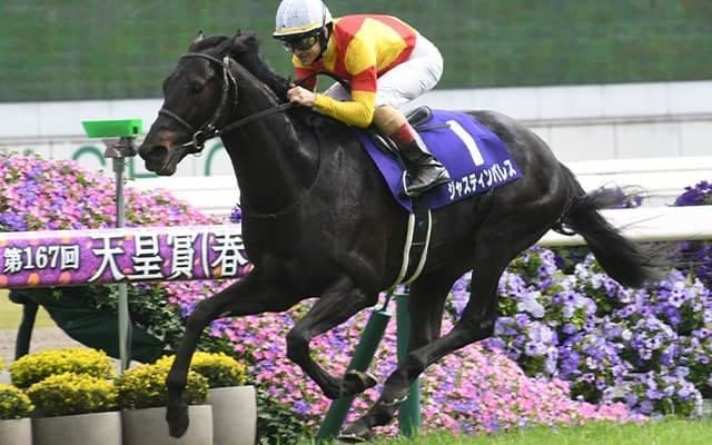 “藤井聡太八冠”から導き出される有馬記念の世相馬券 羽生七冠の「96年」と共通する天皇賞(春)覇者とは