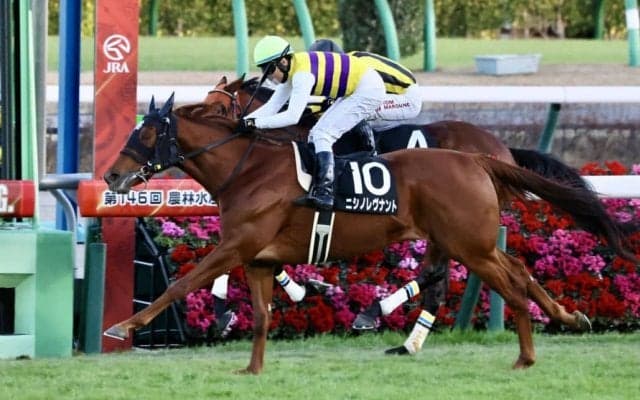 【グレイトフルS】ニシノレヴナントが差し切る…有馬記念同距離