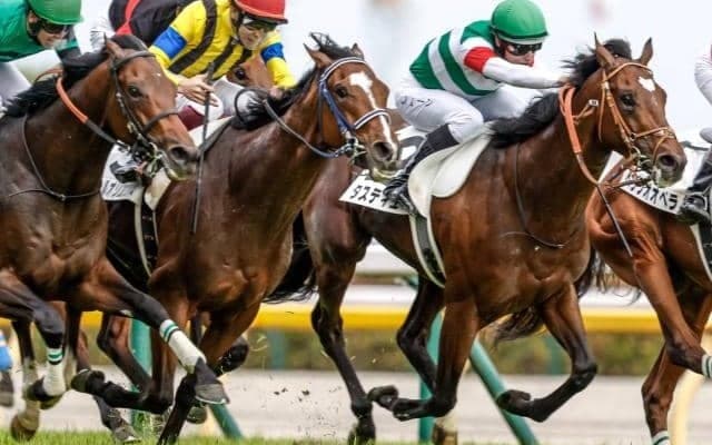 霜降り明星・粗品は有馬記念で3連単30点勝負 「ソールオリエンスより上だと思っている」