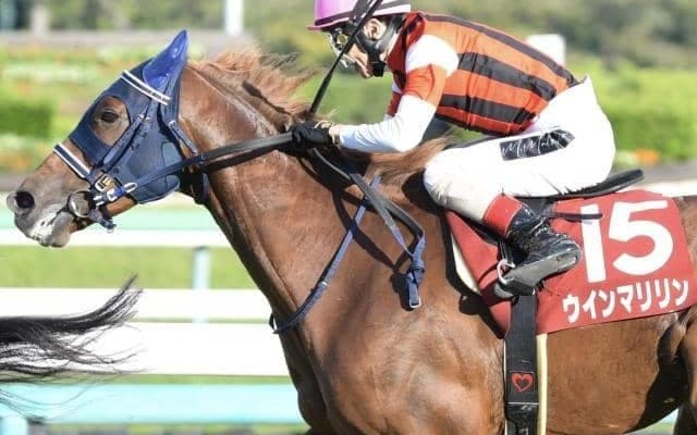 有馬記念の穴馬は“中山マイスター” マツリダゴッホ＆アメリカンボスに続く今年の該当馬は？