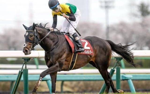 【今日の注目ポイント】一年の総決算・有馬記念に豪華メンバーが集結