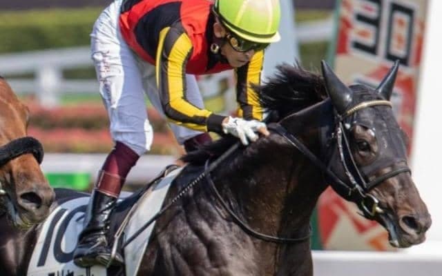 絶好2番枠のシャフリヤール 有馬記念に急転参戦で人気落ちなら妙味あり