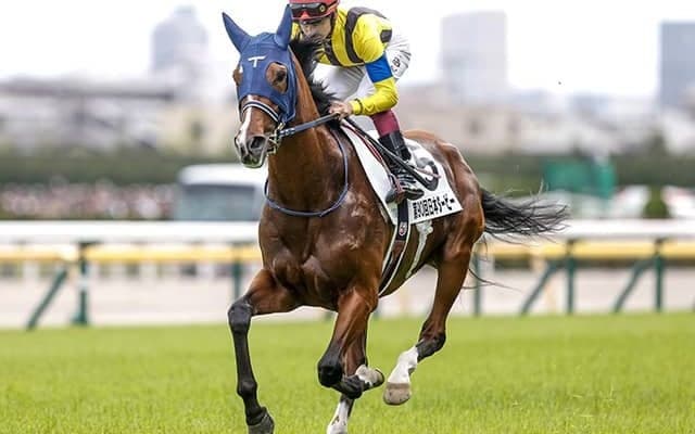 【有馬記念予想】ファンが選んだ夢の対決 今年も名勝負が生まれるか 