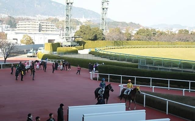 【阪神4R新馬戦結果】トウケイヘイロー産駒ワキノノーブルが差し切り新馬勝ち