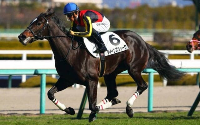 【阪神4R】良血クイーンズウォークが初勝利…半兄はグレナディアガーズ