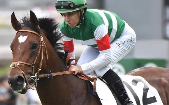 【有馬記念・馬体重】タスティエーラは498kg(+18)、ジャスティンパレスは474kg(+6)