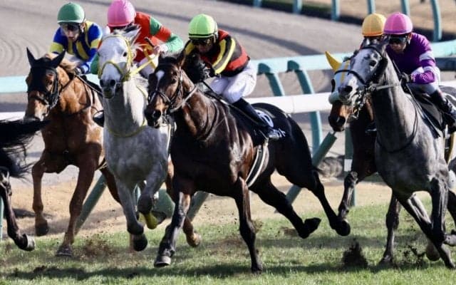 【グッドラックHC】ジオフロントがゴール前の接戦を制する…有馬記念と同距離