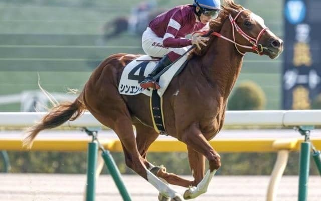 2歳中距離王決定戦・ホープフルS、暮れのダート王決定戦・東京大賞典/今週の競馬界の見どころ