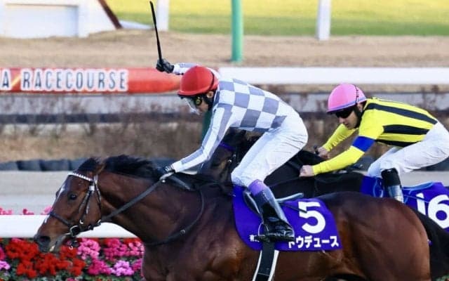 【有馬記念】ルメール「右へモタれた」レース後ジョッキーコメント