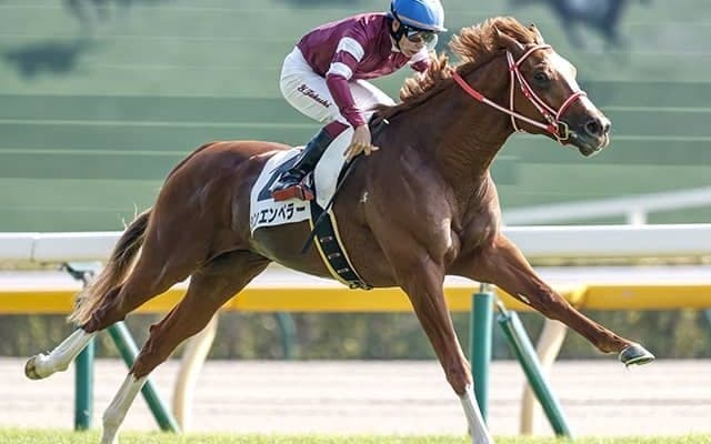 【ホープフルS見どころ】凱旋門賞馬ソットサスの全弟・シンエンペラーが戴冠を狙う