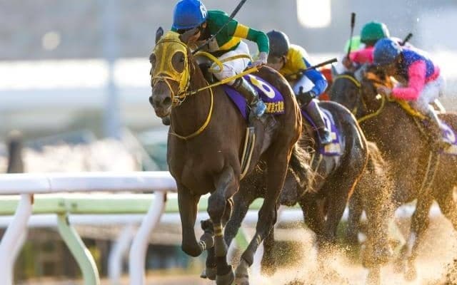 東京大賞典は10年ぶりの9頭立て ウシュバテソーロは5枠5番、ミックファイアは8枠8番