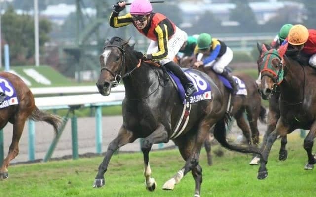 【先週のJRA抹消馬】女王ジェラルディーナ、ホープフルS覇者ダノンザキッドなど