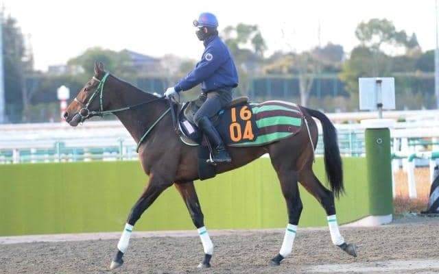 ダノンホイットニーに大竹師も太鼓判 「軽い走りをするし、いいところがありそう」/関東馬メイクデビュー情報