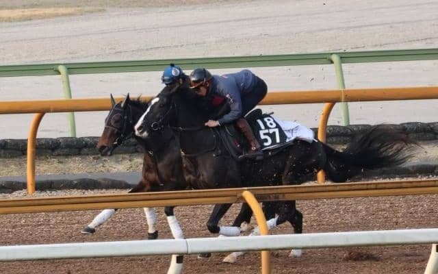 安田隆行厩舎のロードカナロア産駒が初陣/関西馬メイクデビュー情報